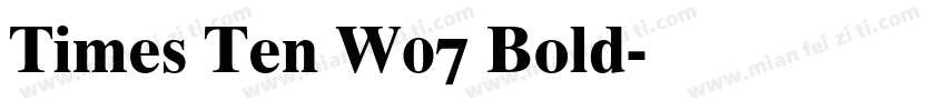 Times Ten W07 Bold字体转换